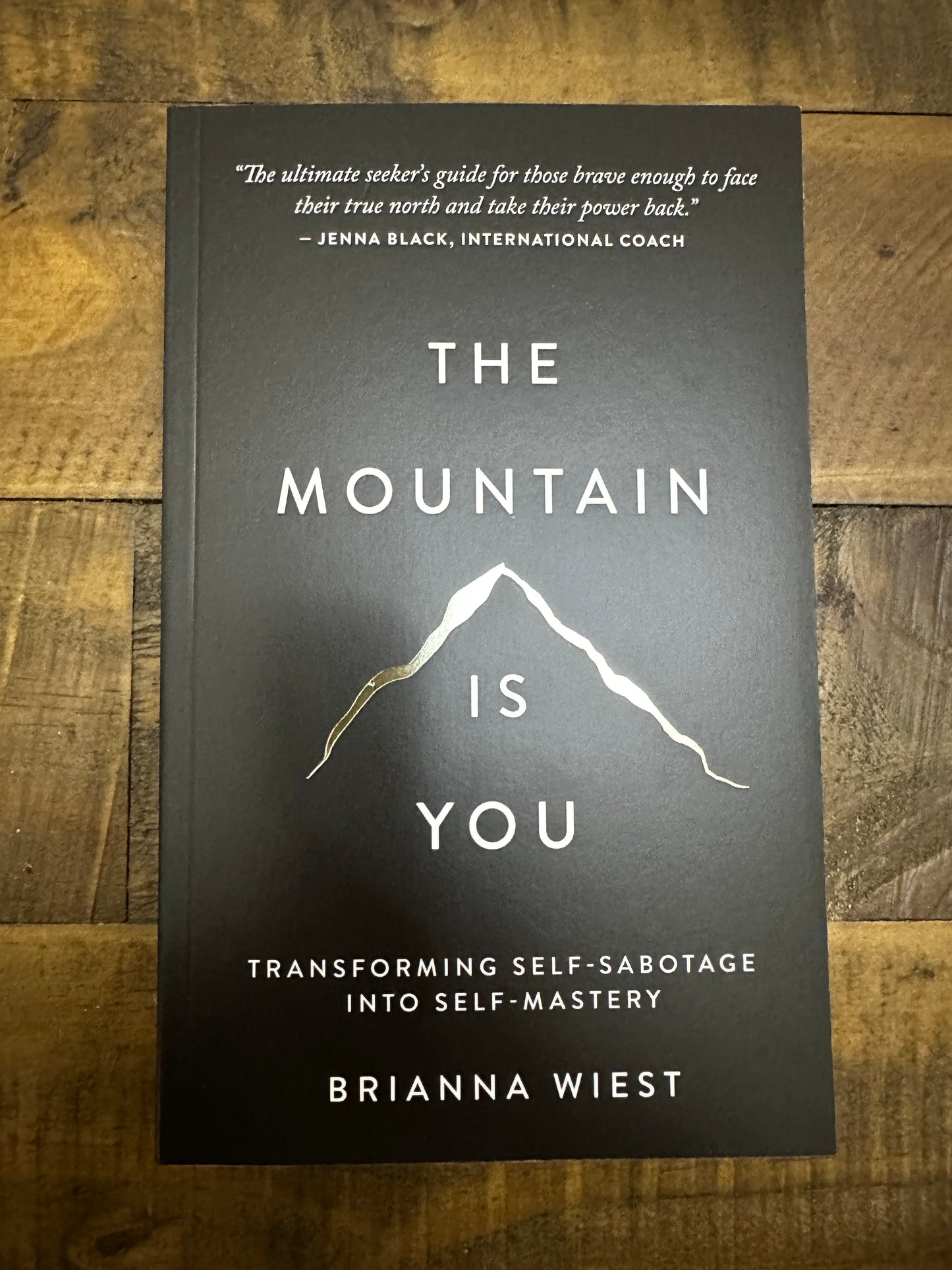 The mountain is you book