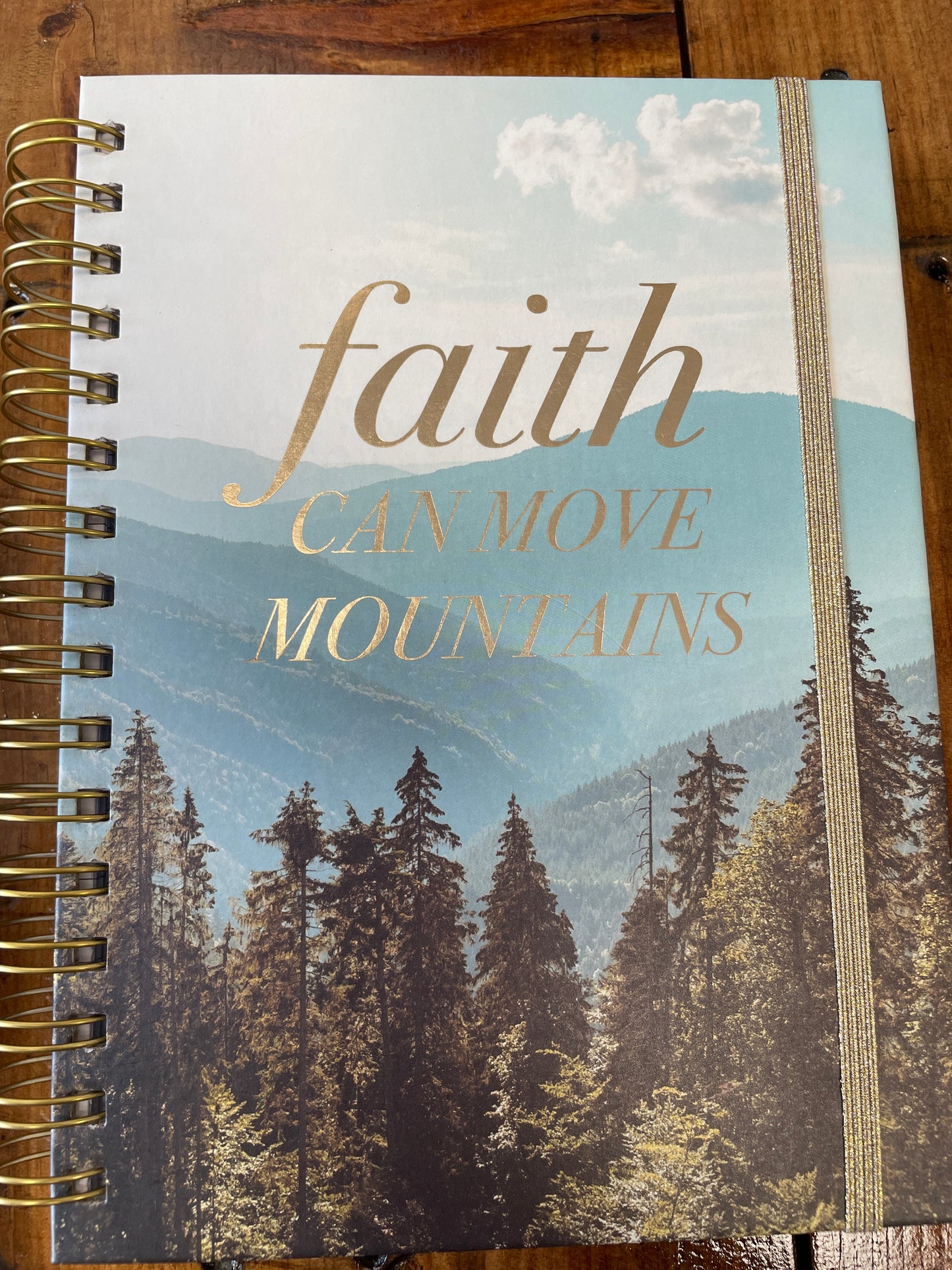 Faith can move mountains journal