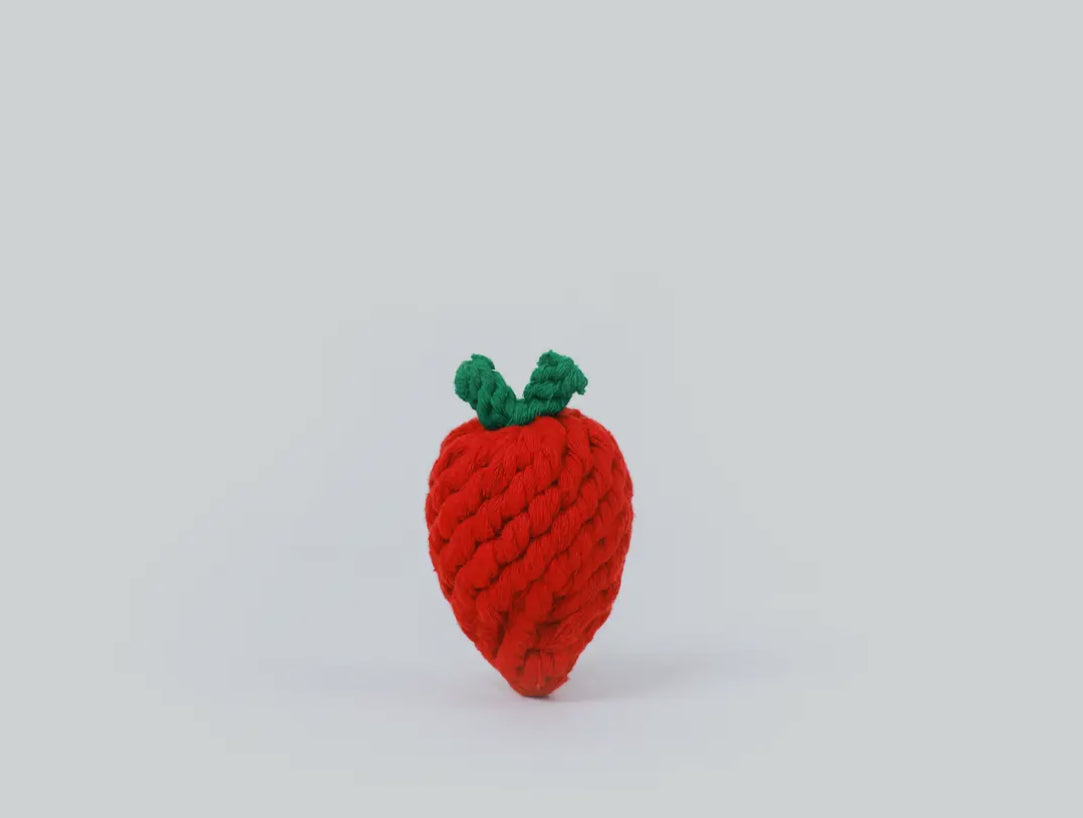 Handmade Fruit and Vegetable Rope Dog Toys- Strawberry