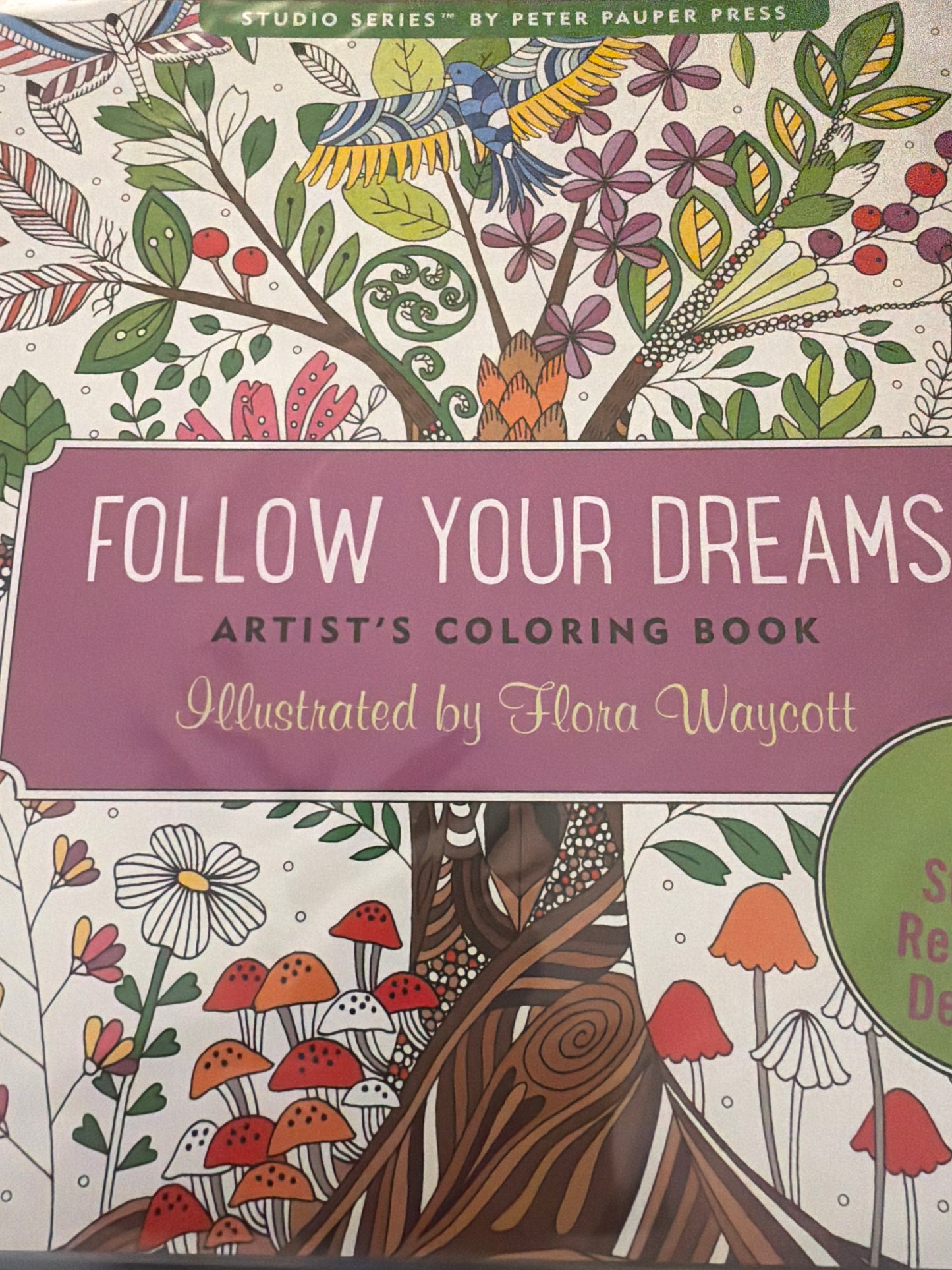 Follow your dreams coloring book