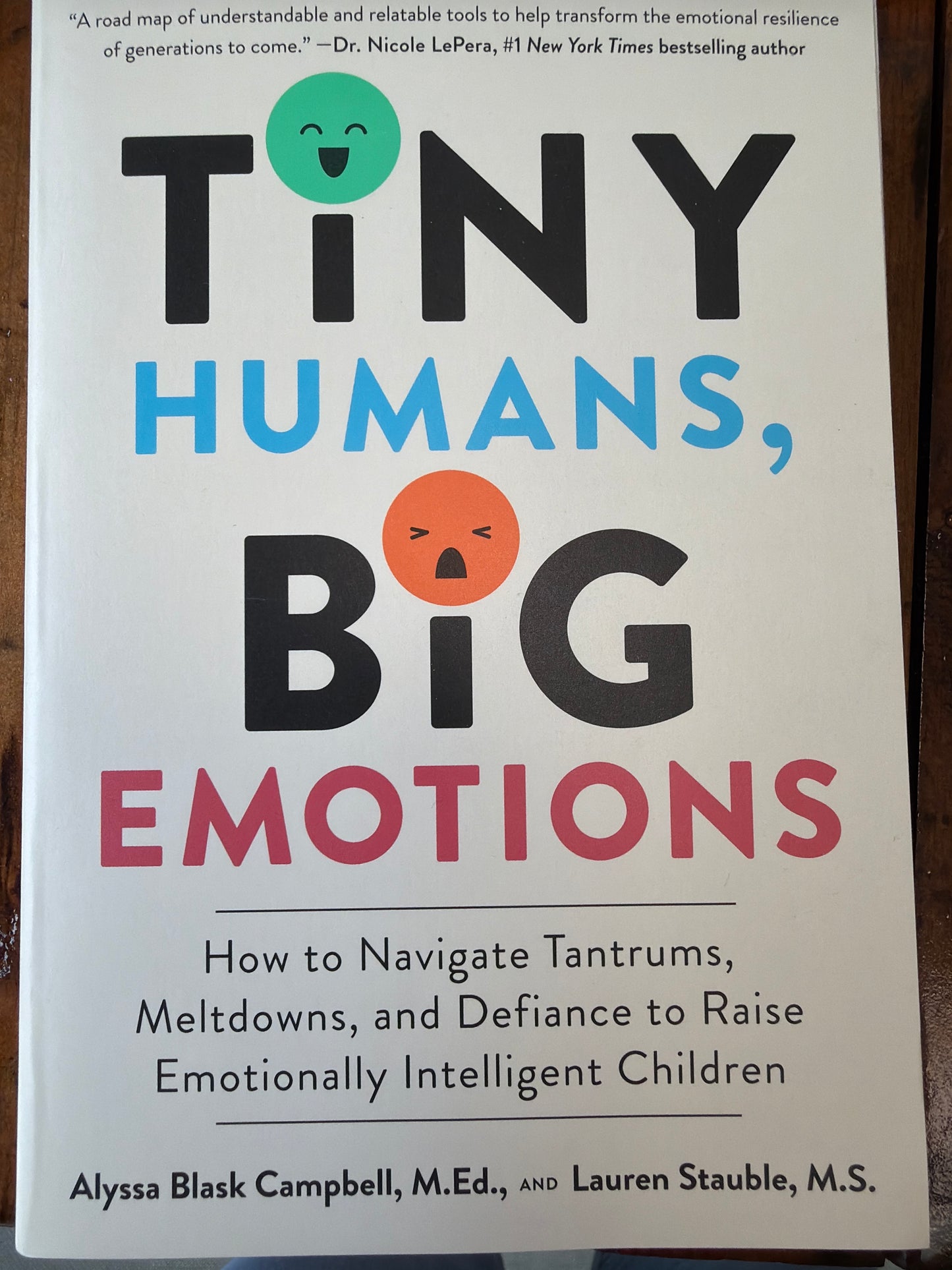 Tiny humans big emotions book