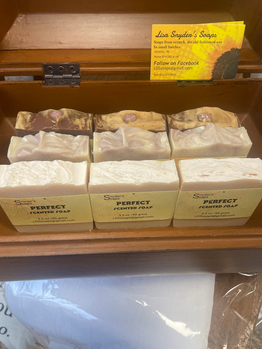 Lisa Snyders soap